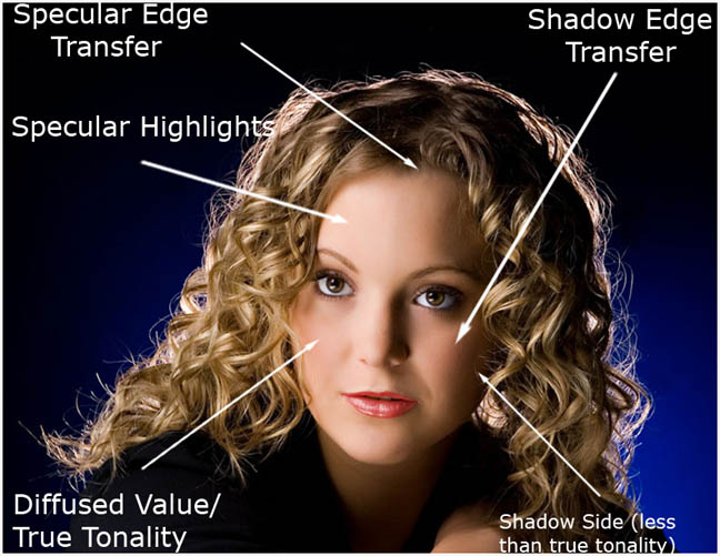 Understanding Light Meters StudioStyles.net